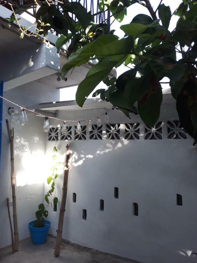 Meanwhile In Veracruz Exterior foto